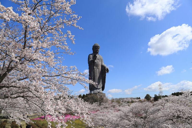 タイトル