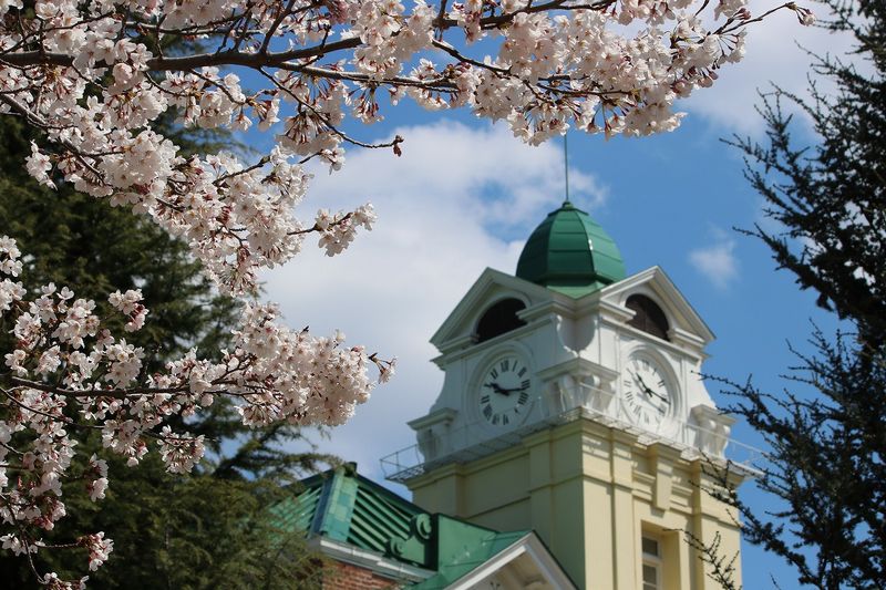 牛久シャトー桜まつり