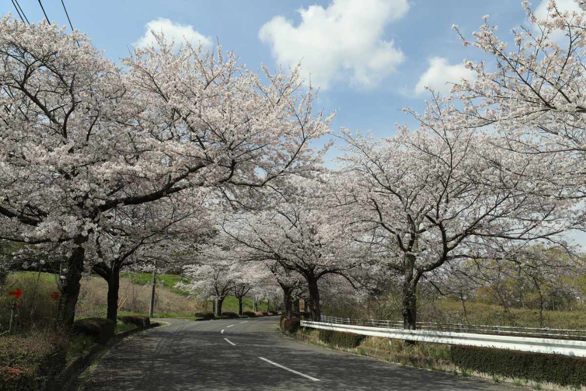 サブページ画像